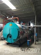 燃油燃?xì)鈨捎谜羝仩t