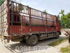 燃油燃?xì)忮仩t公司