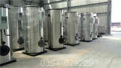 燃?xì)庹羝仩t樣本