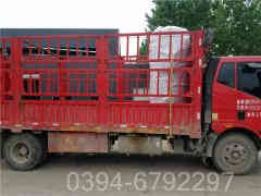 燃?xì)庹羝仩t哪家質(zhì)量好