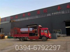 超低氮燃?xì)庹羝仩t