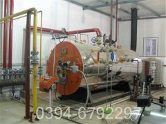 6t燃煤蒸汽鍋爐