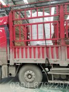 燃?xì)馊加蜔犸L(fēng)爐