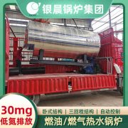 d型燃?xì)庹羝仩t