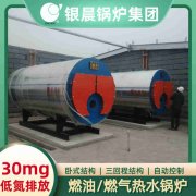 大型的燃?xì)忮仩t