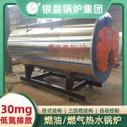 燃油燃?xì)忮仩t蒸汽鍋爐