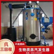 六噸燃?xì)忮仩t廠家