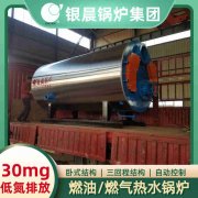 2噸熱水燃?xì)忮仩t