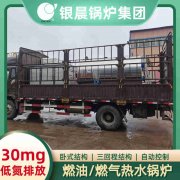 天然氣生物質(zhì)鍋爐