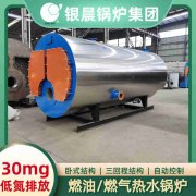 酒精鍋爐燃?xì)忮仩t