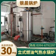 燃?xì)庑统袎簾崴仩t