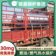 燃?xì)忮仩t與燃煤鍋爐的區(qū)別