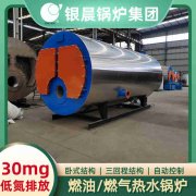 生物導熱油鍋爐