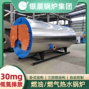 0.3噸燃?xì)鉄崴仩t