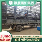 CWNS0.49-85/60-QY燃氣熱水鍋爐
