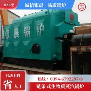 0.3噸天然氣熱水鍋爐