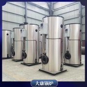 河南500萬大卡熱風(fēng)爐