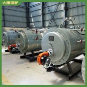 海南6t冷凝真空鍋爐