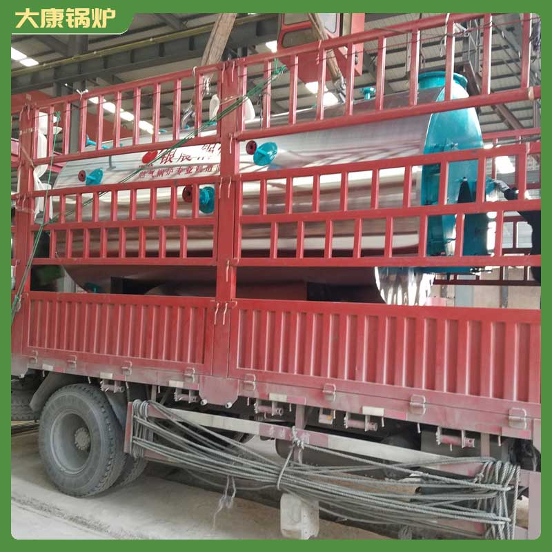 導熱油沼氣鍋爐